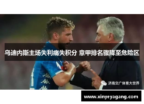 乌迪内斯主场失利痛失积分 意甲排名骤降至危险区