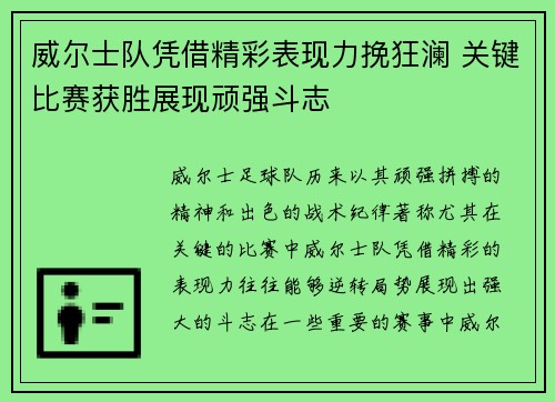 威尔士队凭借精彩表现力挽狂澜 关键比赛获胜展现顽强斗志