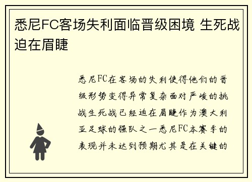 悉尼FC客场失利面临晋级困境 生死战迫在眉睫