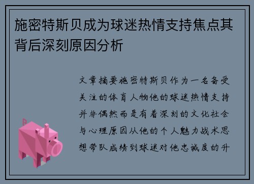 施密特斯贝成为球迷热情支持焦点其背后深刻原因分析