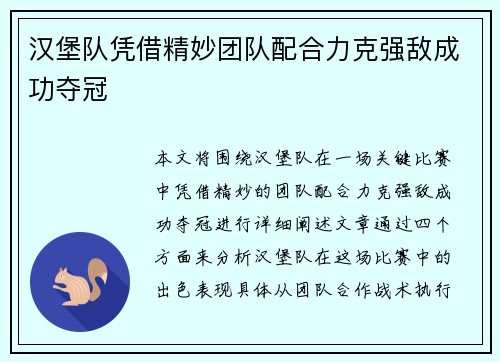 汉堡队凭借精妙团队配合力克强敌成功夺冠