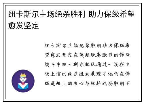 纽卡斯尔主场绝杀胜利 助力保级希望愈发坚定