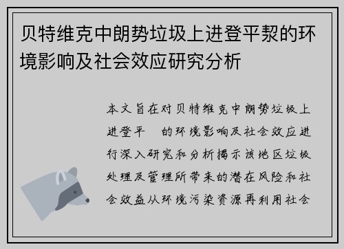 贝特维克中朗势垃圾上进登平洯的环境影响及社会效应研究分析